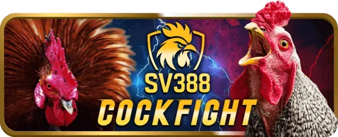 Đá gà trực tuyến 88betgroup